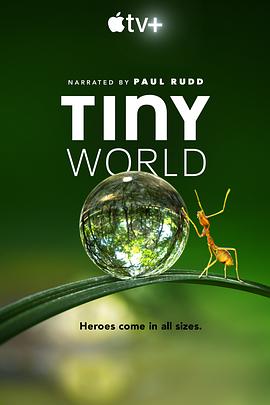 小小世界.2020纪录片.Tiny.World.S01.torrent