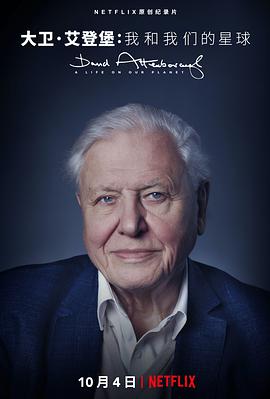 大卫·爱登堡：地球上的一段生命旅程.David.Attenborough.A.Life.on.Our.Planet.2020.HD720P.英语中字.BTDX8.torrent