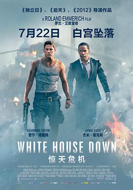 惊天危机.2013经典动作.1080p.国英双语.BD中英双字.torrent