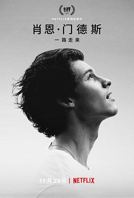 肖恩门德斯：一路走来.2020纪录片.1080p.BD中字.torrent