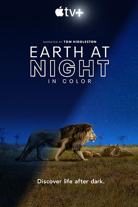 夜色中的地球.2020纪录片.Earth.at.Night.in.Color.S01.torrent