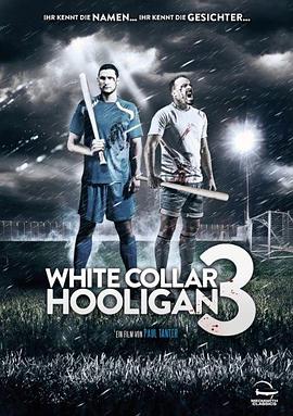白领流氓3.White.Collar.Hooligan.3.2014.HD720P.X264.AAC.English.CHS.torrent