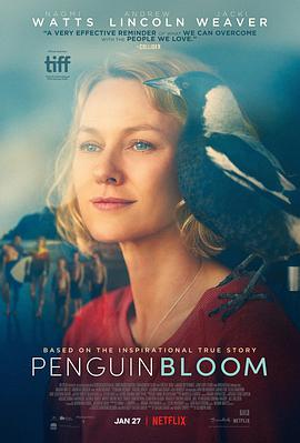 企鹅布鲁姆.2021.BD1080P.AAC.H264.CHS-ENG.BTSJ6.torrent