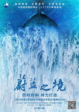 蔚蓝之境.2020高分纪录片.1080p.HD国语中字.torrent