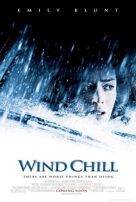 阴风鬼影.wind.chill.2007.dvdrip.swesub.xvid.ac3.mr.keff.torrent