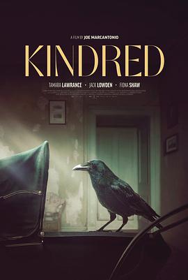 亲属关系.Kindred.2020.BD1080P.X264.AAC.English.CHS-ENG.BDYS.torrent
