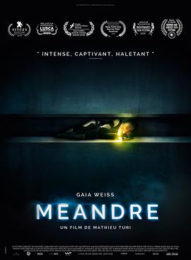 蜿蜒.Meander.2021.BD1080P.X264.AAC.French.CHS-ENG.BDYS.torrent