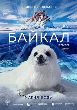 神奇的贝加尔湖.2019纪录片.1080p.HD中字.torrent