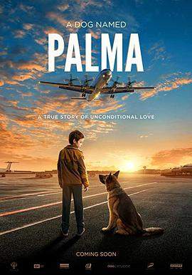 忠犬帕尔玛.2021.BD1080P.AAC.H264.CHS.BTSJ5.torrent