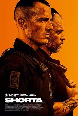 肖塔.2020.BD1080P.AAC.H264.CHS.BTSJ6.torrent