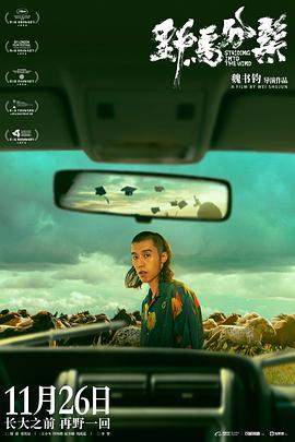 野马分鬃[中文字幕].2020.1080p.WEB-DL.H264.AAC-SONYHD.torrent