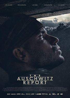 奥斯维辛报告.2021.BD1080P.x264.CHS.BTSJ5.torrent