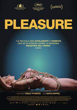 欢愉.Pleasure.2021.HD720P.X264.AAC.English.CHS-ENG.BDYS.torrent