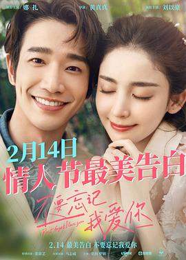 不要忘记我爱你.2022爱情剧情.1080p.HD国语中字.torrent