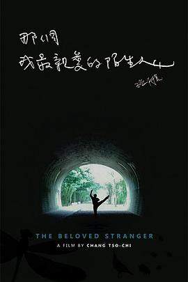 那个我最亲爱的陌生人.Synapses.2019.HD1080P.X264.AAC.Mandarin.CHS.BDYS.torrent