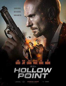 凹头弹.Hollow.Point.2019.HD1080P.X264.AAC.English.CHS.BDYS.torrent