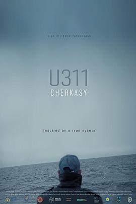 切尔卡瑟.2019.BD1080P.AAC.H264.CHS.BTSJ5.torrent