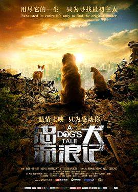 忠犬流浪记.2021剧情.4K.H265.HD国语中字无水印.mkv.torrent