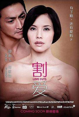割爱.Love.Cuts.2010.HD1080P.X264.AAC.Mandarin.CHS.BDYS.torrent