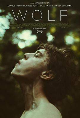 狼.2021.HD1080P.AAC.H264.CHS.BTSJ5.torrent