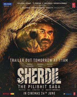 老人与虎.2022.HD1080P.AAC.H264.CHS.BTSJ5.torrent