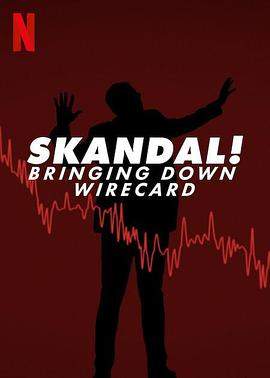 金融丑闻：揭发Wirecard诈骗案.2022.HD1080P.AAC.H264.CHS.BTSJ5.torrent