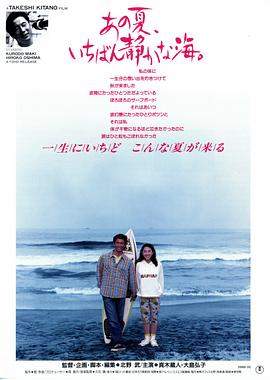 那年夏天，宁静的海.1991经典高分剧情.1080p.HD中字.mp4.torrent