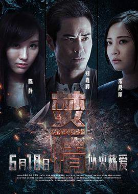 焚情.2022惊悚剧情.4K.国粤双语.HD中字无水印.mp4.torrent