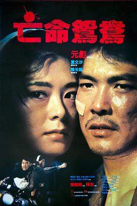 亡命鸳鸯.1988经典动作剧情.1080p.国粤双语.HD中英双字.mp4.torrent