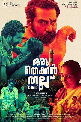 南方悬案.2022.HD1080P.AAC.H264.CHS.BTSJ6.torrent