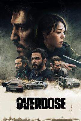 过度剂量.2022.HD1080P.AAC.H264.CHS.BTSJ6.torrent