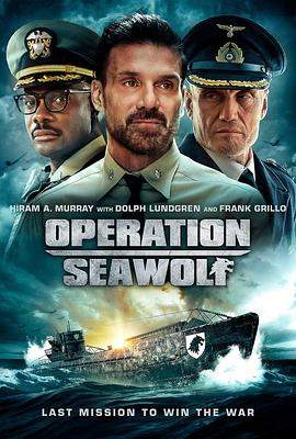 海狼行动.Operation.Seawolf.2022.BluRay.1080p.DTS.x264.torrent