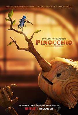 吉尔莫·德尔·托罗的匹诺曹[国英多音轨-简繁英字幕].Pinocchio.2022.CC.1080p.BluRay.x264.DTS.2Audio-SONYHD.torrent