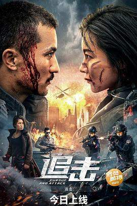 追击（特警使命之雷霆出击）.2023.路云飞.李萌萌.闫佳颖.于思楚.H265高清版.torrent