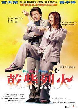 干柴烈火.国粤双语.2002.HD1080P.AAC.H264.CHS.BTSJ6.torrent