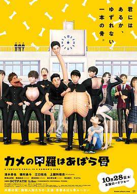 乌龟的壳其实是肋骨.2022.HD1080P.AAC.H264.CHS.BTSJ6.torrent