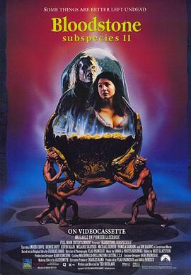 亚种2：血石.1993.BD1080P.AAC.H264.CHS.BTSJ6.torrent