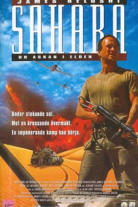 撒哈拉.2005.BD1080P.AAC.H264.CHS.BTSJ6.torrent