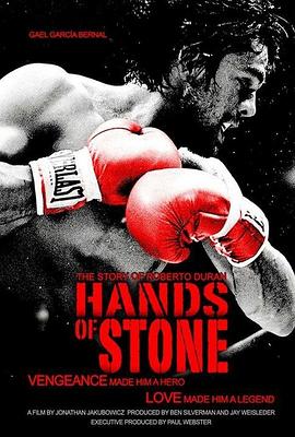 顽石之拳.2016.BD1080P.AAC.H264.CHS.BTSJ6.torrent