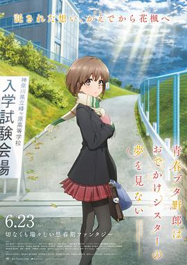 青春期猪头少年不会梦到娇怜外出妹.2023.BD1080P.AAC.H264.CHS.BTSJ6.torrent