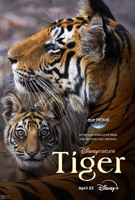 老虎[简繁英字幕].2024.1080p.DSNP.WEB-DL.DDP5.1.Atmos.H264-ParkHD.torrent