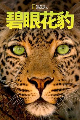 碧眼花豹.2020.HD1080P.AAC.H264.CHS.BTSJ6.torrent