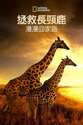 营救长颈鹿之漫漫归途.2022.HD1080P.AAC.H264.CHS.BTSJ6.torrent