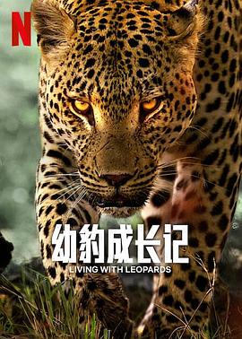 幼豹成长记.2024.HD1080P.AAC.H264.CHS.BTSJ6.torrent