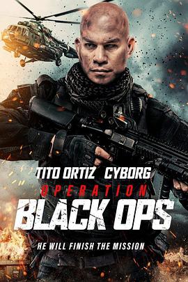 行动代号：黑衣人.2023.HD1080P.AAC.H264.CHS.BTSJ6.torrent