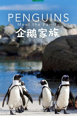 企鹅家族[国英多音轨中文字幕].The.Family.2020.1080p.WEB-DL.H265.2Audio.AAC-SONYHD.torrent