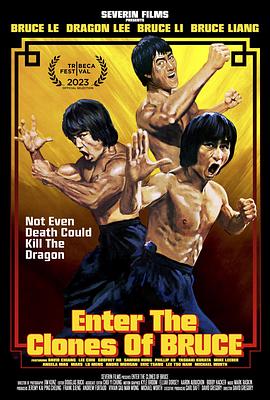 虚龙争假虎斗[国英多音轨繁英字幕].Enter.the.Clones.of.Bruce.2023.Bluray.1080p.DTS-HDMA2.0.x264-DreamHD.torrent