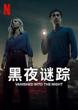 黑夜谜踪[简繁英字幕].2024.2160p.NF.WEB-DL.DDP5.1.H.265-BATWEB.torrent