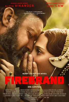 煽动者.2024.HD1080P.AAC.H264.CHS.BTSJ6.torrent
