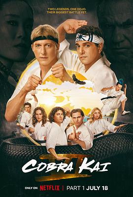 眼镜蛇 第六季.官方中字.Cobra.Kai.2024.S06.E01-E05.PART1.1080p.NF.WEB-DL.DDP5.1.H.264-XEBEC.torrent